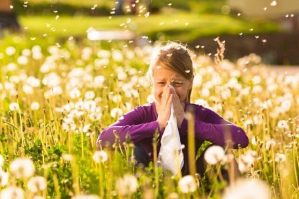 polline e allergie